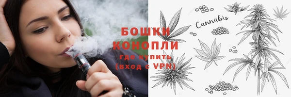 тгк Туринск