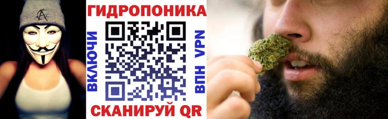 Купить закладки  Исилькуль  Каннабис индика 